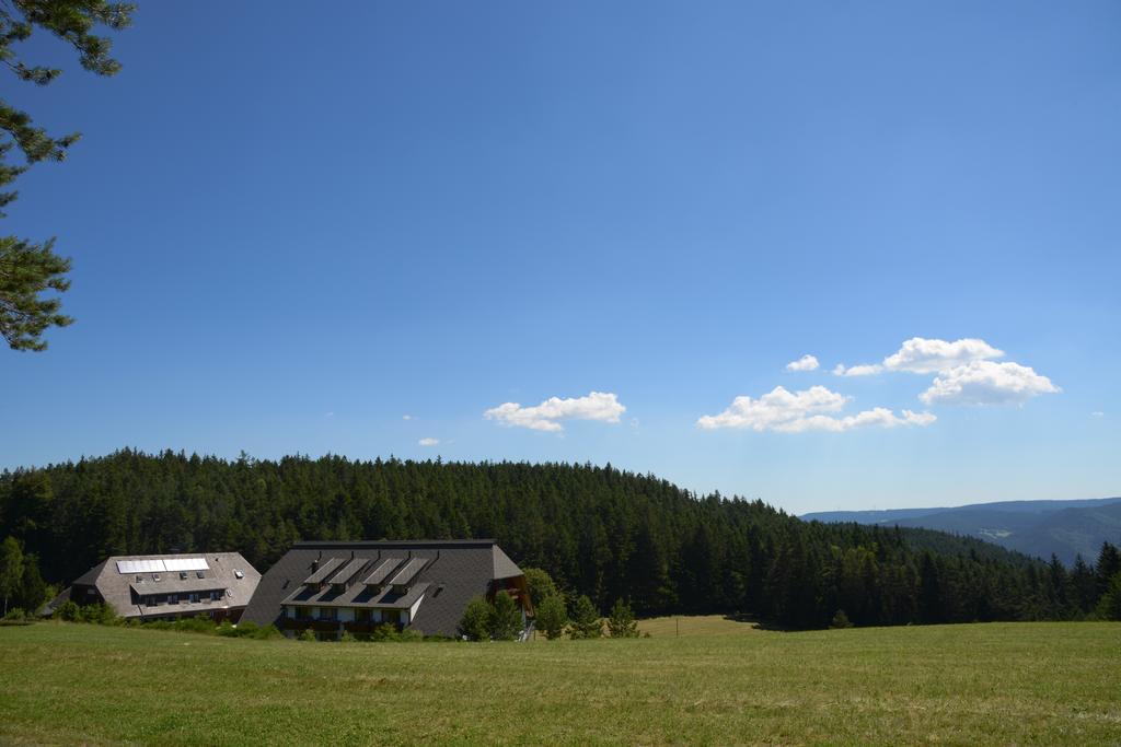 Hotel Schoene Aussicht Hornberg Dış mekan fotoğraf